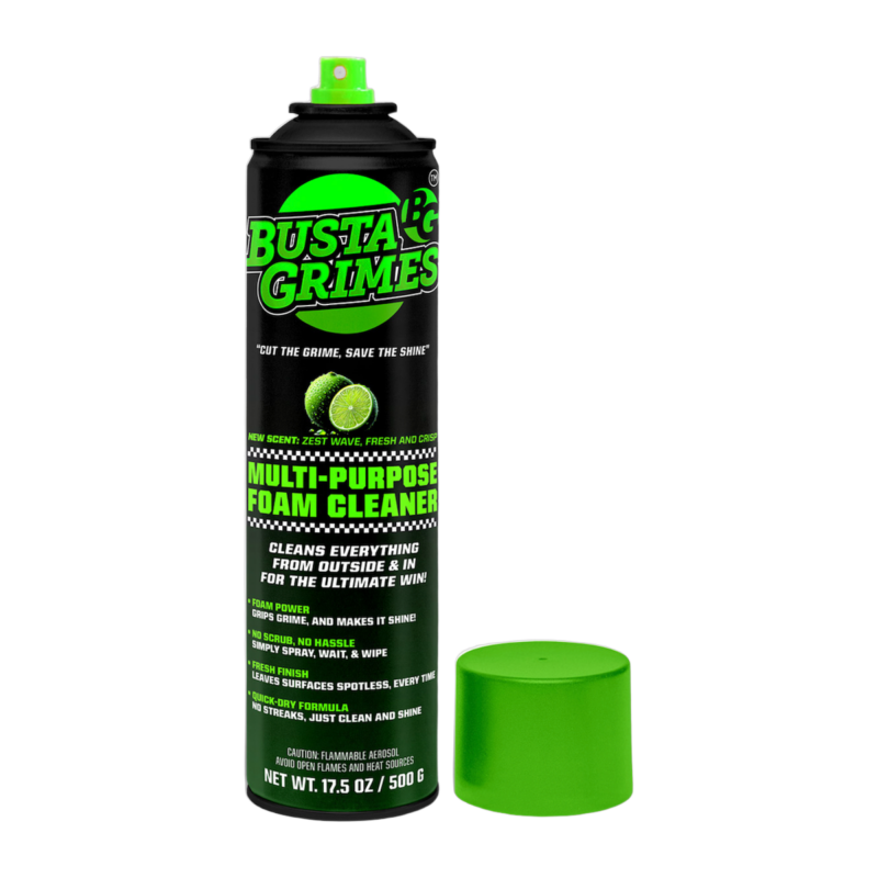 BG Multi-Purpose Foam Cleaner